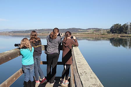 Children looking at the anima life in Elkhorn Slough
