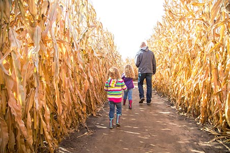 family adventure in a corn maze